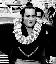 Такамияма Дайгоро