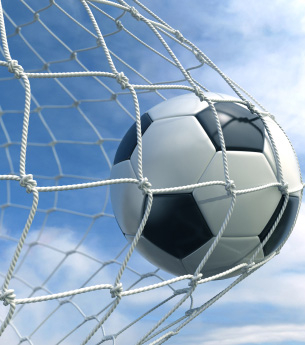 Сетка для ловли мячей