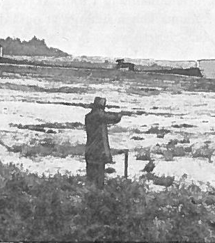 Вегелиус Карл