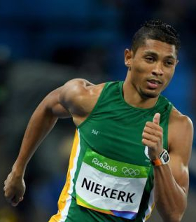 ван Никерк Вайде