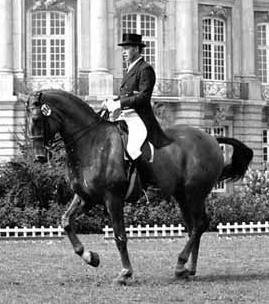 Болдт Гарри