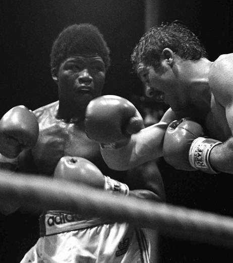 80 тысяч зрителей на боксе