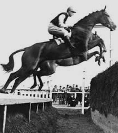 Мельбурнская Олимпиада в Стокгольме