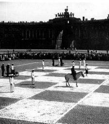 Живые черно-белые клетки