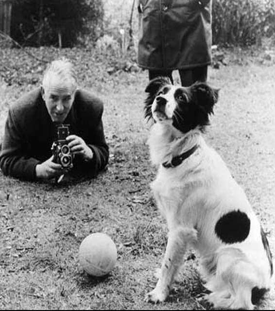 Английский пес спас Кубок мира