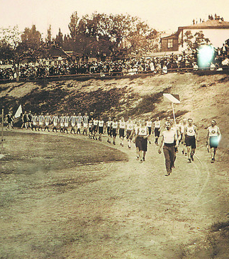 Киев получил «Спортивное поле»