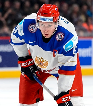 Гавриков Владислав